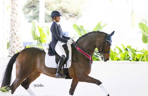 Del Mar National Horse Show Dressage Week CDI3*