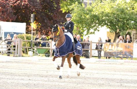 Holtkämper Dressurtage mit Jumpingday