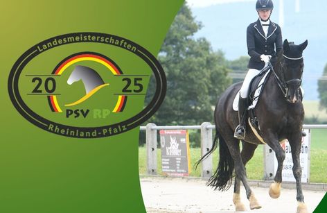 Landesmeisterschaften Rheinland-Pfalz | Dressur
