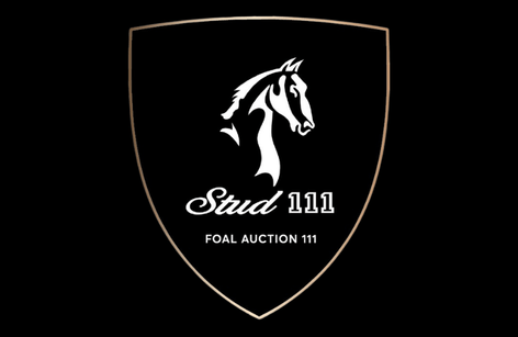 Stud 111 Foal Auction