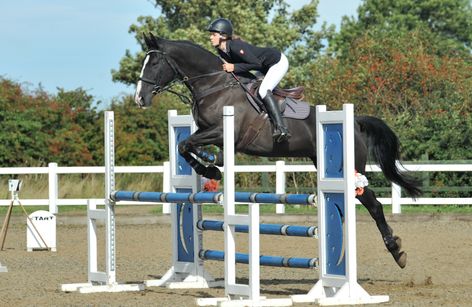 Arena UK - Second Rounds Show