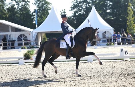Subtop Dressuur Meerdaagse Tolbert