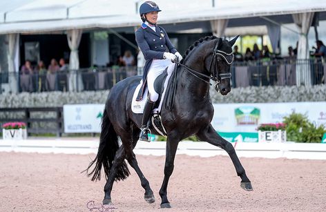Adequan Global Dressage Festival 3