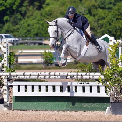 Aiken Charity Horse Show I