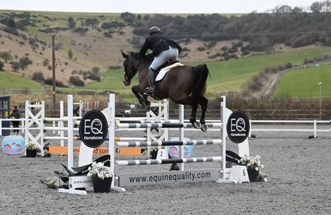 Pyecombe - British Showjumping Senior Show