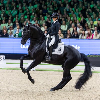 The Dutch Masters - FEI Dressage World Cup™ 2025-2026 I WEL - s'Hertogenbosch