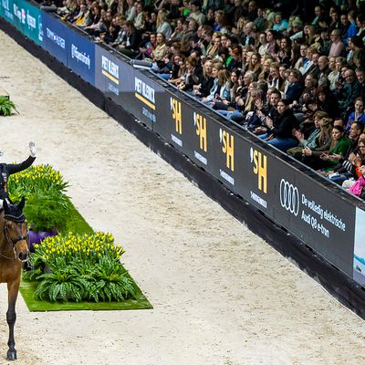 The Dutch Masters - FEI Dressage World Cup™ 2024-2025 I WEL - s'Hertogenbosch