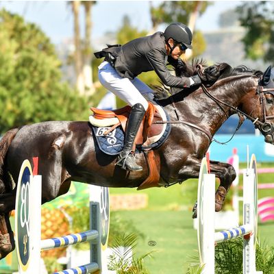 CSI2* Del Mar Summer Classic II
