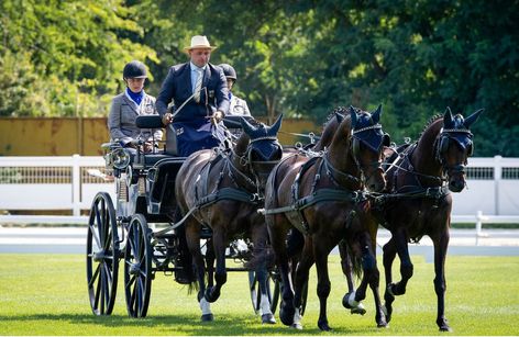 FEI Driving World Championship Four-in-Hand 2024