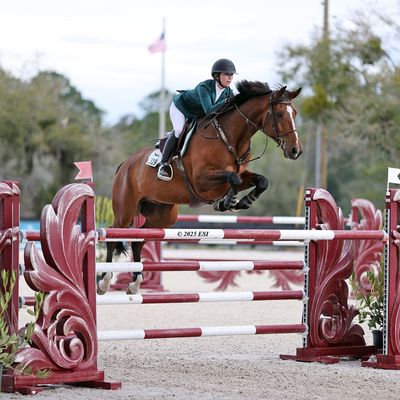 HITS Ocala Championship X