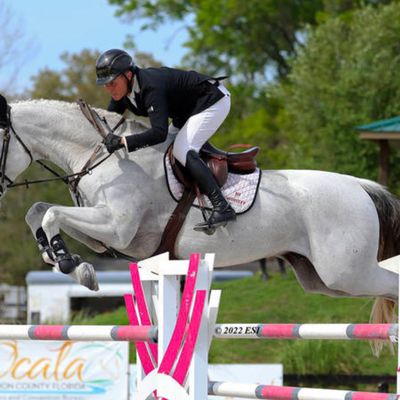 HITS Ocala Winter Festival – V