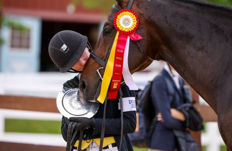 The Devon Horse Show & Country Fair