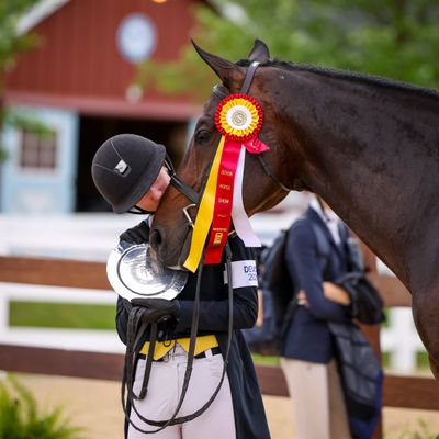 The Devon Horse Show & Country Fair