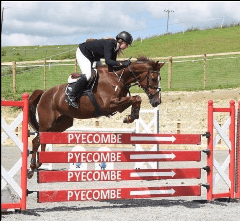 Live Stream Senior British Showjumping Show 2024