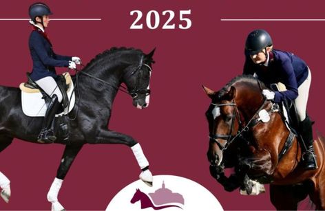 Hengstschau "Neustädter Gestüte" 2025