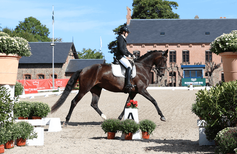 3. kval af BB Cup, Dressurens Venner finale, champ. kval. mm