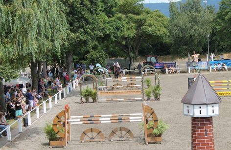 Eppelheimer Reiterfest Springen