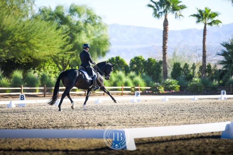 usef-four-year-old-test-practice-desert-dressage-v-2023-2023