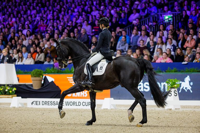 Live Stream Jumping Amsterdam FEI World Cup™ JumpingDressage 2024