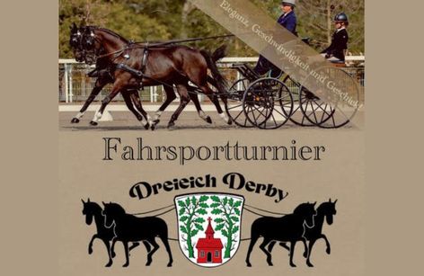Fahrsportturnier Dreieich Derby
