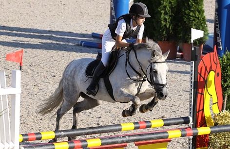 Mistrovství České republiky pony ve skocích a drezuře