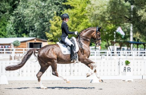 FEI Dressage European Championship - Crozet