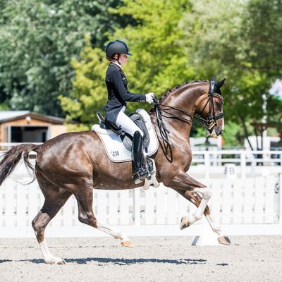 FEI Dressage European Championship - Crozet