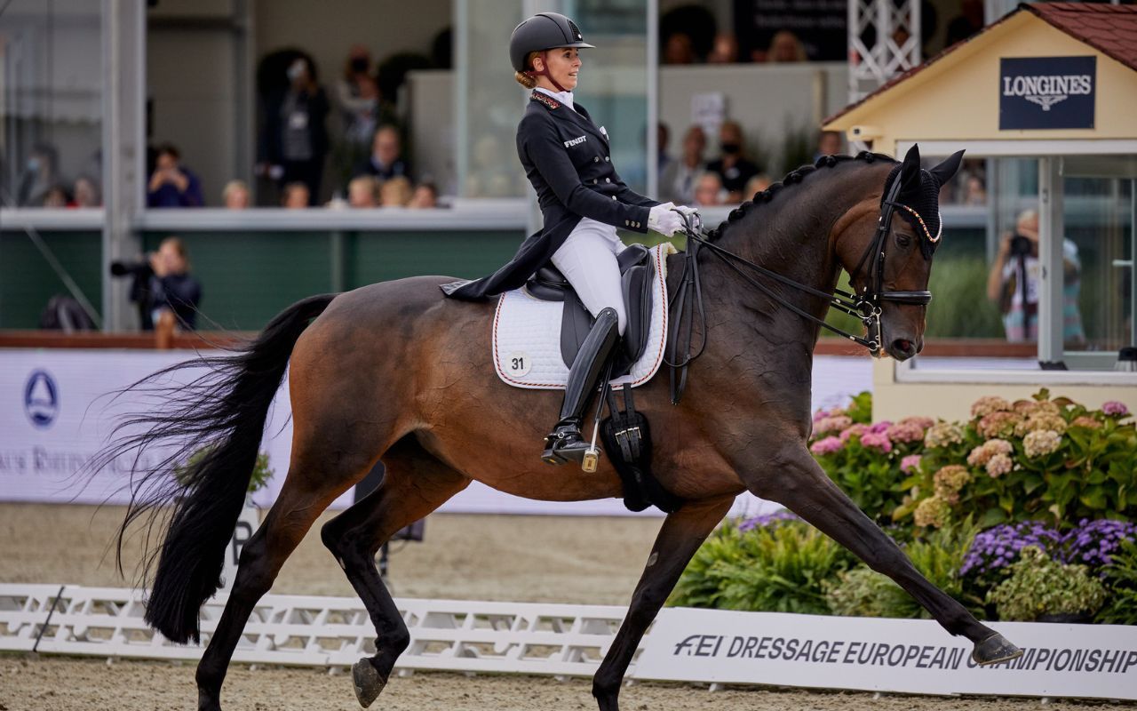 Live Stream FEI Dressage Para Dressage European Championships