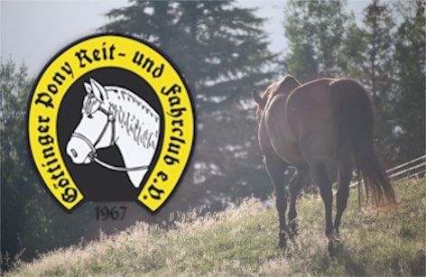 48. Pferdefestival Holtensen Springen