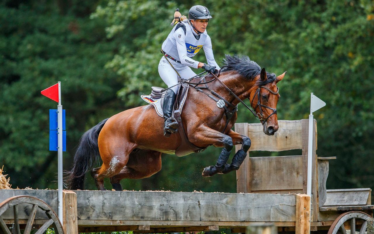 Live Stream - FEI Eventing Nations Cup™ 2022 Of The Netherlands - 2022 ...