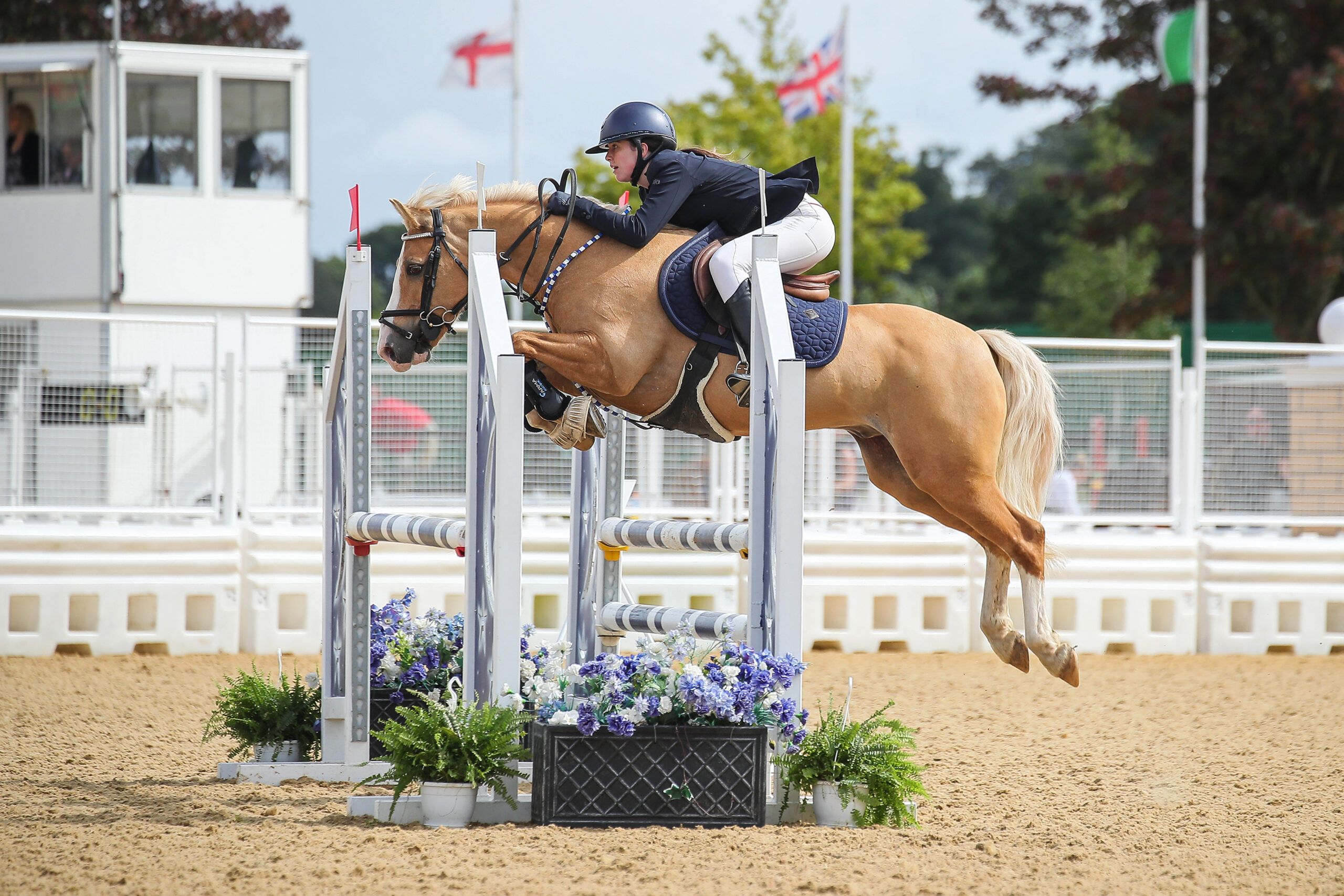 Live Stream British Showjumping Academy Championships 2025 2025 Live Stream British Showjumping Academy Championships 2025 2025