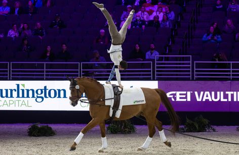 CVI3* World Cup Qualifier, 2nd Brazilian Stage and FEI Vaulting Challenge - SHP 2024