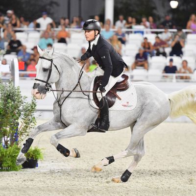 2026 Ocala Winter Spectacular Show Series I