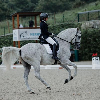 CDN3* & Copa ANCCE - Heras Horses & Events Dressage Tour 2025 (week 1)