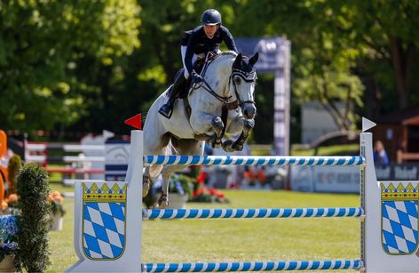 Pferd international München