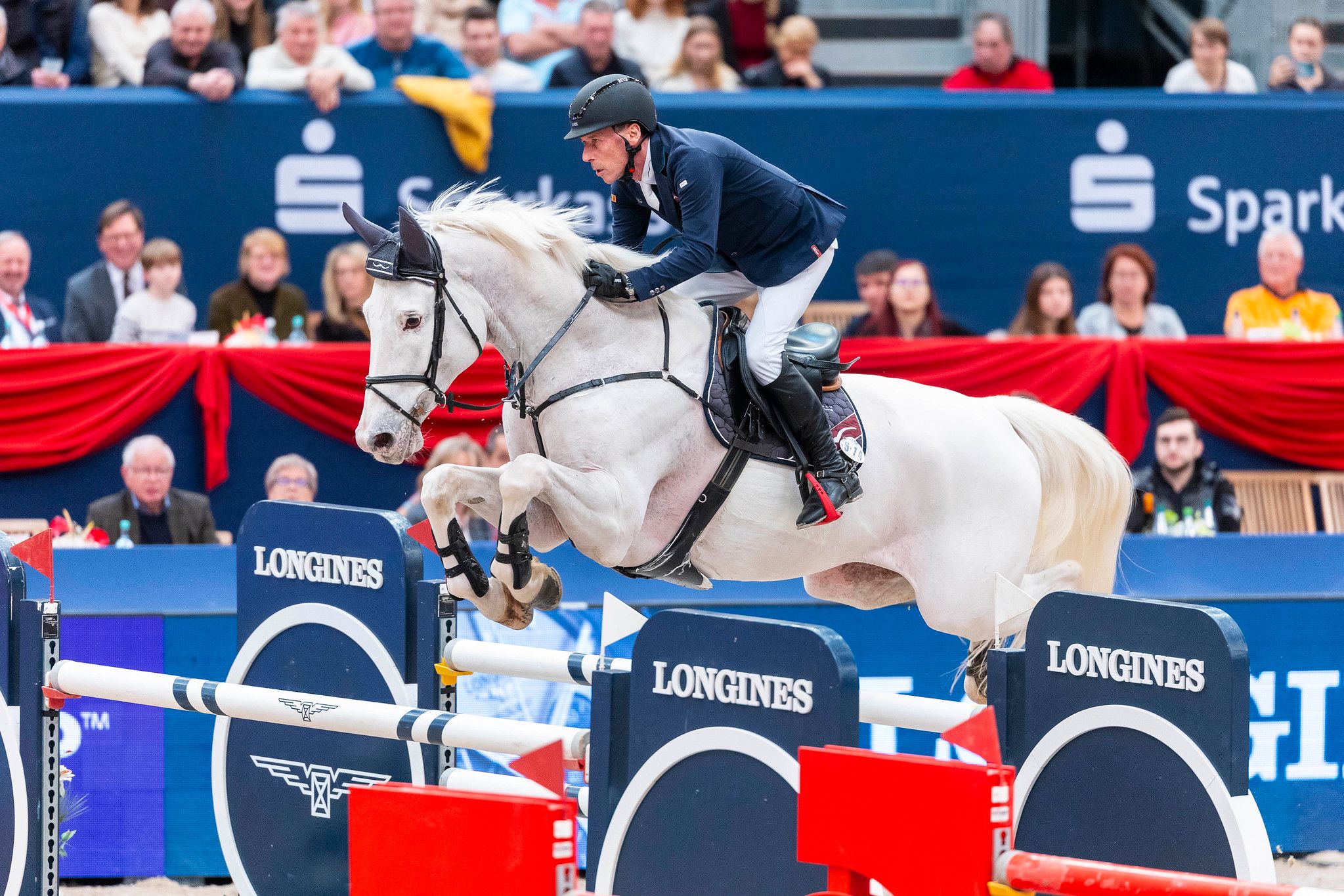 Partner Pferd Leipzig