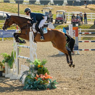 Summer in the Rockies 6