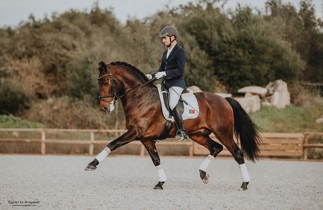 Campeonatos de Portugal de Dressage