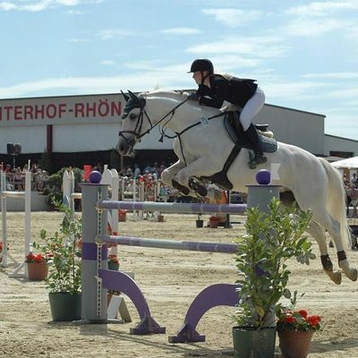 Springturnier Detter
