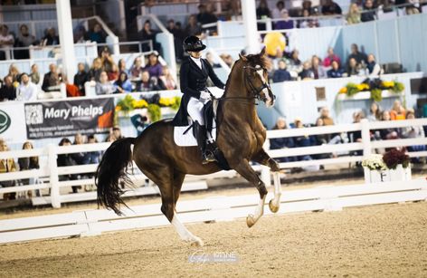Dressage at Devon