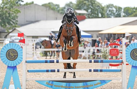 Estonian Jumping Breeding Championships for Young Horses & Ponies