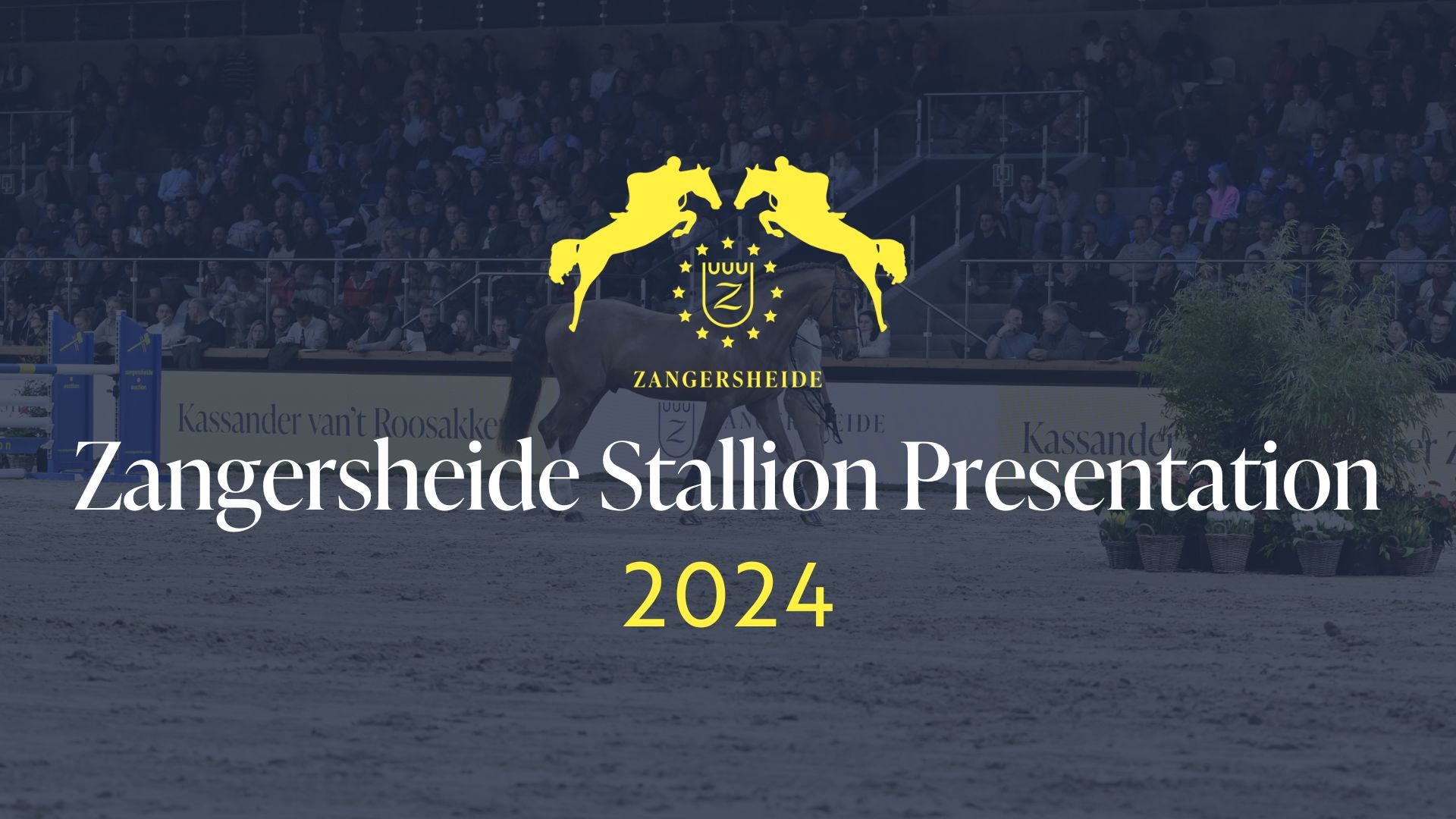 Z Stallions - Stallion Presentation Studfarm Zangersheide 2024 - 2024 ...