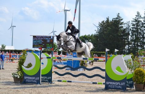 Springflut-Festival Hörup mit Holsteiner Highlight Sales 2025