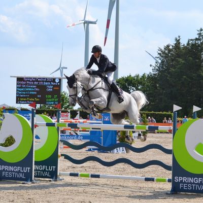 Springflut-Festival Hörup mit Holsteiner Highlight Sales 2025