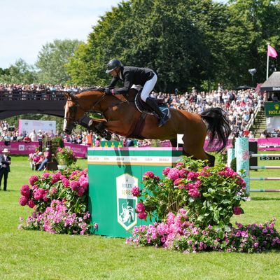 CSI5* Jumping International de Dinard