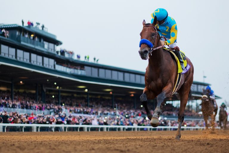 Live Stream Breeders´ Cup 2023 Videos, Live Streams, Films and