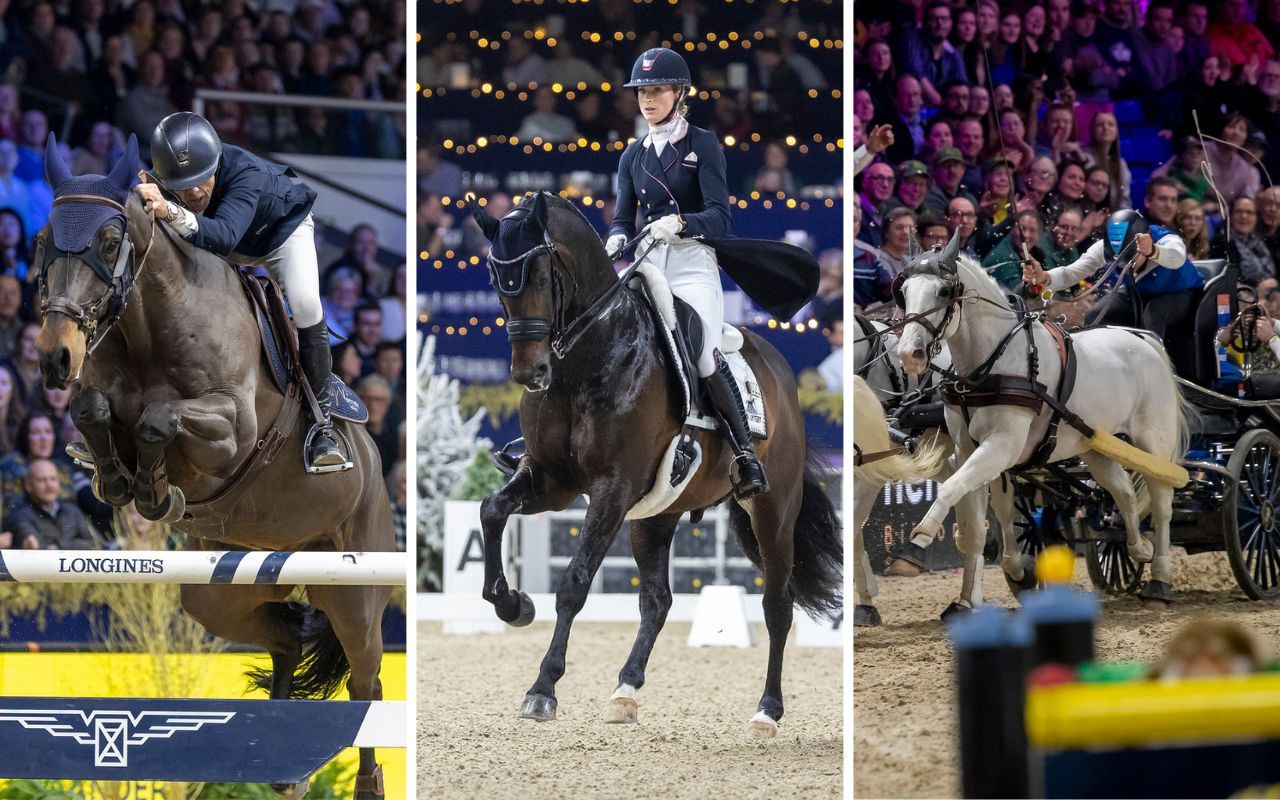 Live Stream FEI World Cup Jumping Dressage Driving 2023 2024 I