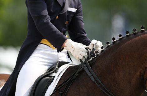 Dressage Ireland National Winter Finals 2025
