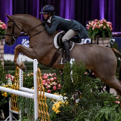 Marshall+Sterling/USHJA National Championships
