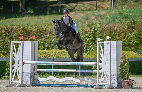 Pannon Lovasakadémia - CSN ( Fedeles - Nemzeti és felkészítő verseny)